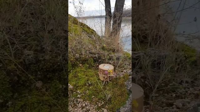 Посвящается предкам