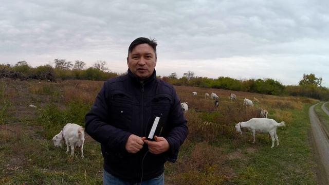 Кровь Его на нас и детях наших