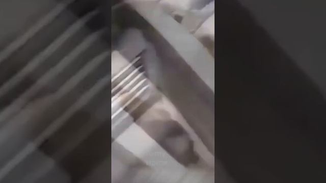 Прикольные моменты🎉😀😀