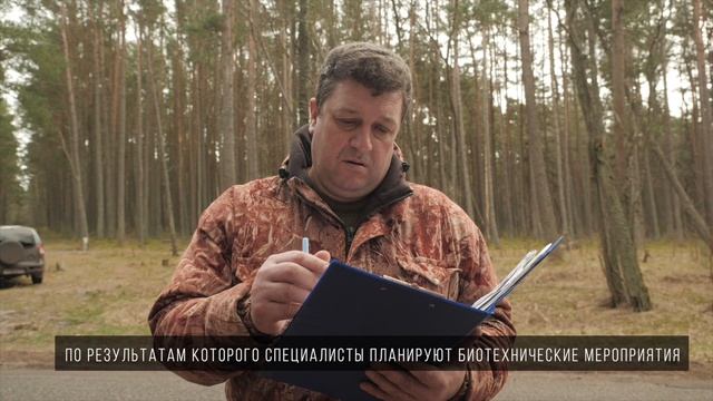 День работников леса