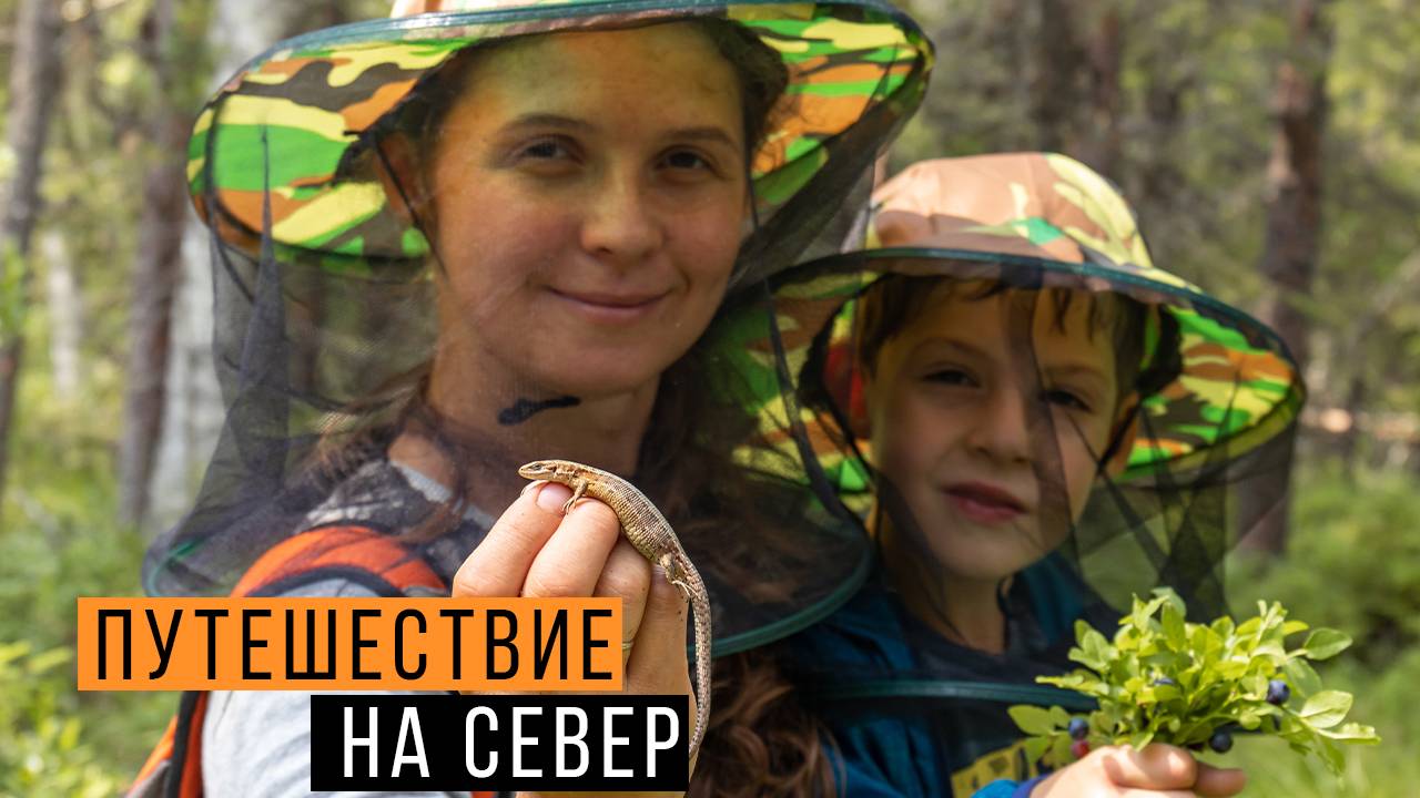 Ловим АМФИБИЙ и РЕПТИЛИЙ на СЕВЕРЕ / Вологодская и Архангельская области / Змеелов - ученый