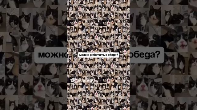 #вакансии #наймсотрудников #поискработы  #удаленка #карьера #hr #рекрутинг #кадровоеагентство