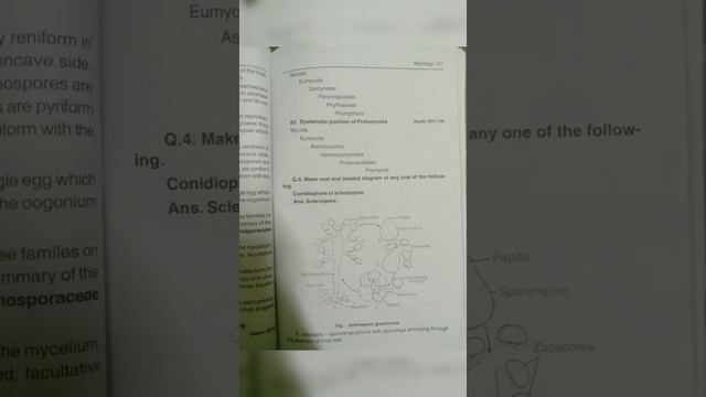 MSC 1semester paper 2 unit 4 and 5 mycology (Myxomycota and mumycota) exam notes