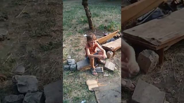 Детибомжи