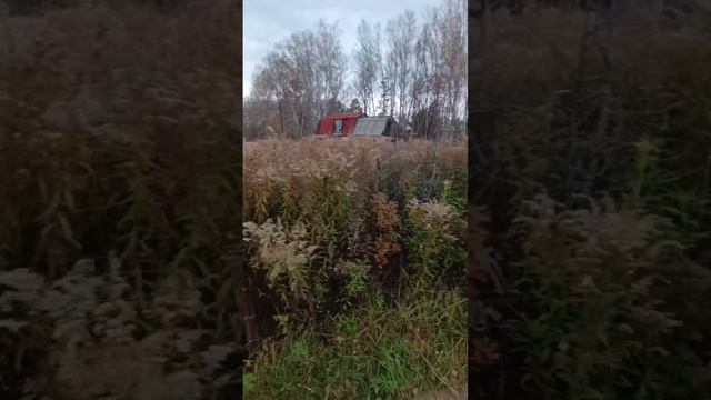 Дача восток.