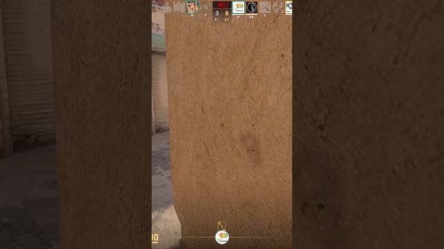 Zeus24121605