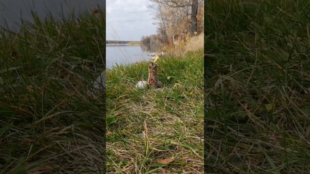 Свеча на желание