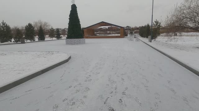 город Красноярск,озеро парк 16 декабря 2024г.