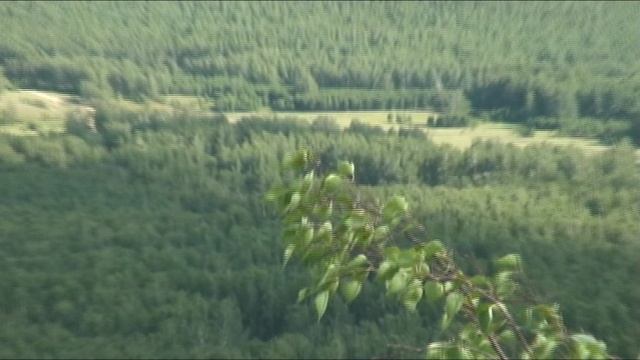 Богатырское чувство Любви