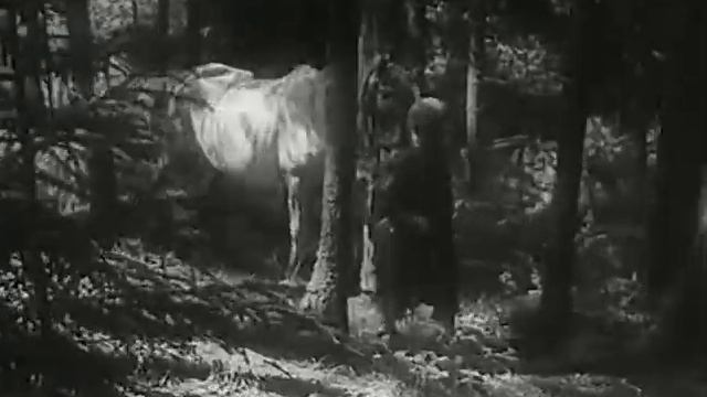 Детский фильм «Сын полка» (1946)