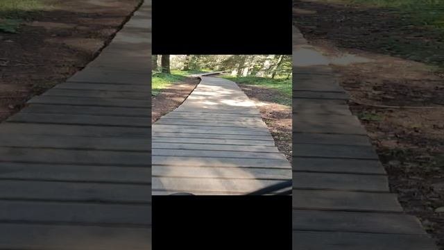 На велосипеде по Валааму