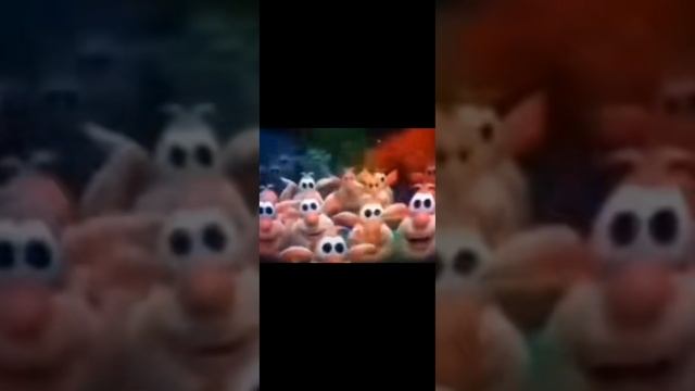 Жотско флексит