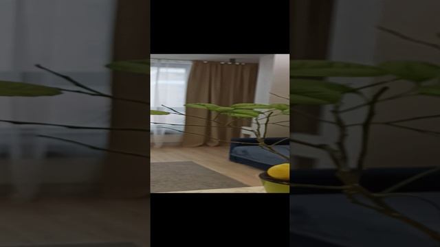 Лимон Павловский