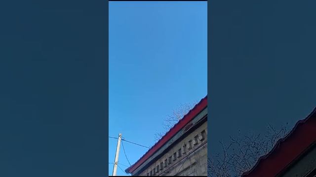 Полет голубей Владимировича