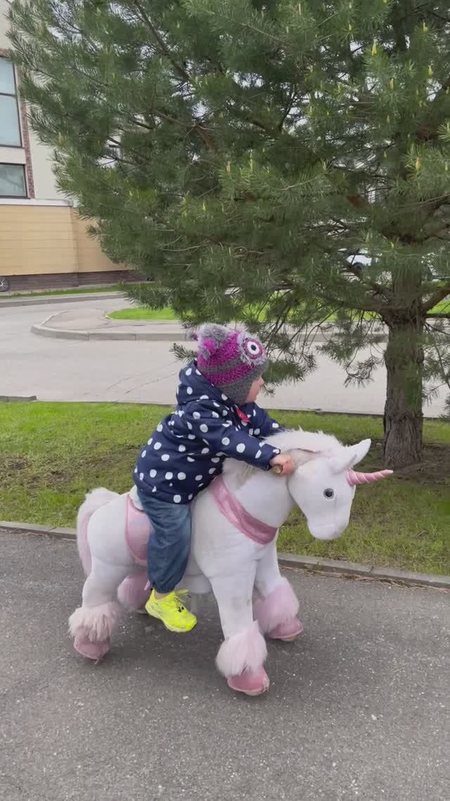 Лошадка едет в Дубай) #2года1месяц