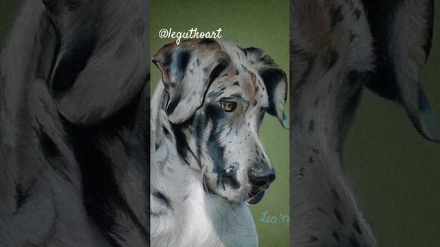 #art #painting #drawing #portrait #dog #портрет #собака #рисунок #realistic #pets #handmade