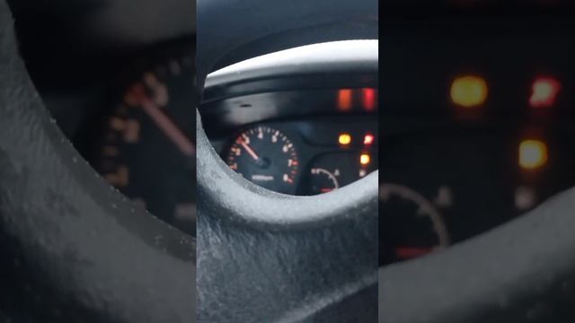 160900315_456239064.mp4