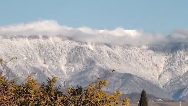 Кавказ