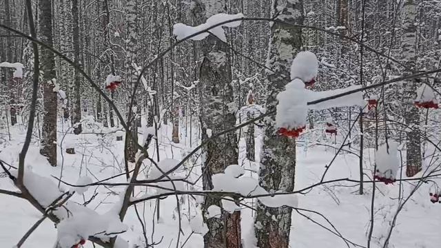 Русская зима.
