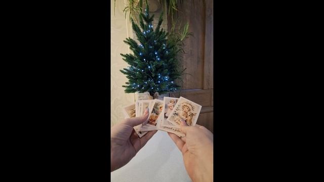 1000142233.mp4