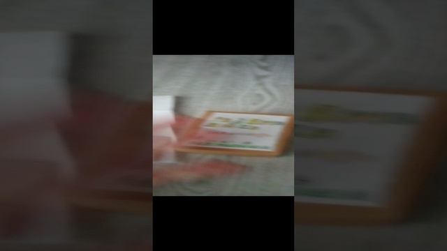 VID_20241216_122627.mp4