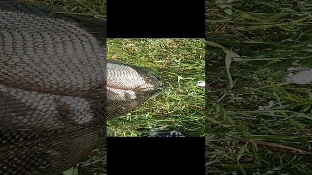 1000079740.mp4