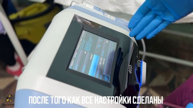 Пчела приступила к лечению лазером. Поддержать⬇️