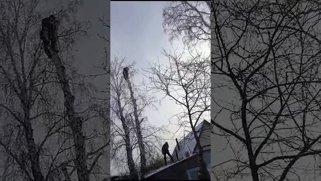 Макушка поймана)https://vk.com/arbodvizh