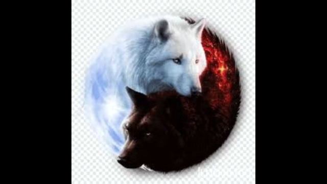 Magic Raven. Притча Мудреца 3 О Волках, внутри человека.Parable 3 About Wolves, inside a person