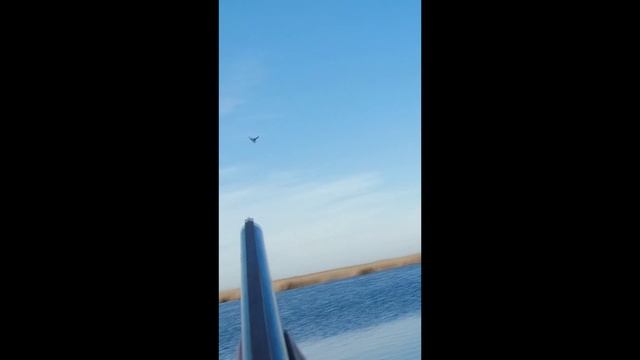 Утка! Осечка! Мат не помогает - проверено!😠