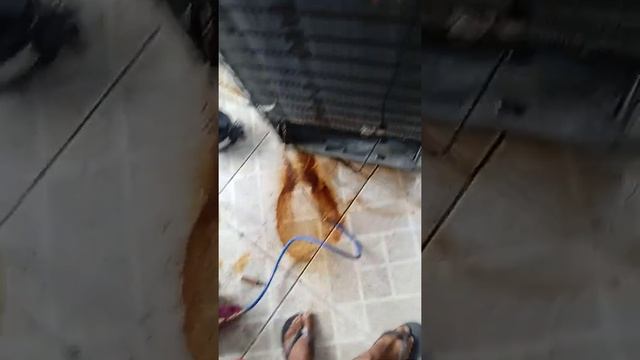 Como Limpar O Sistema Da Geladeira????