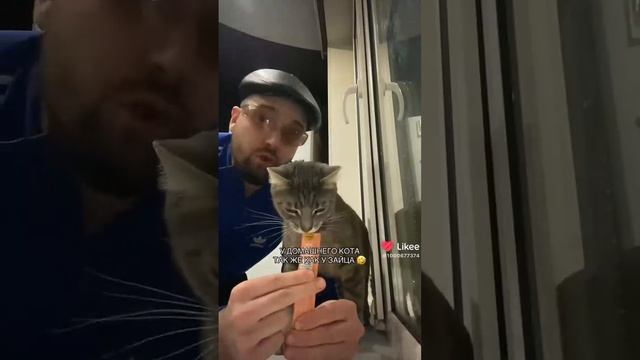 подпишись на мой тг https://t.me/nurikialex