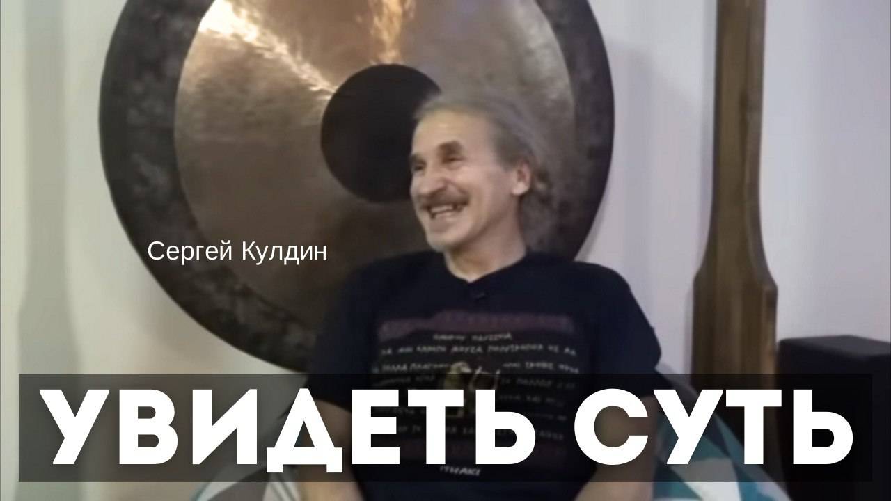 Увидеть суть. Сергей Кулдин. Сатсанг. Москва 24.12.23