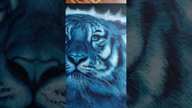 #tiger #blue #bluetigers #graphics #art #handmade #kredki #portrait #animal #sketch