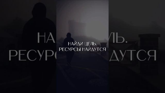 Цитата