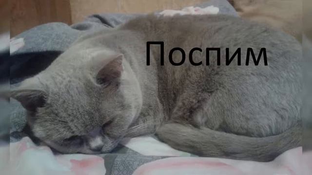Поспим