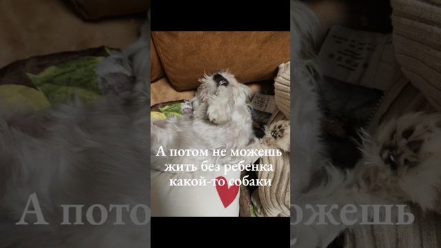 1000010403.mp4