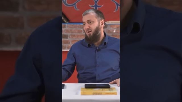 совет стиви