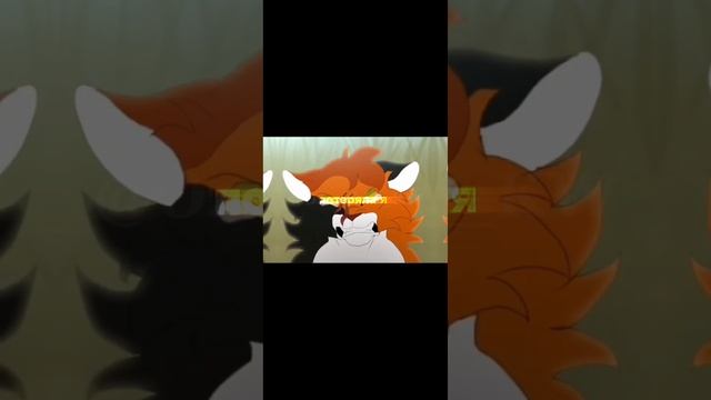 Эх, ведьма я! || Коты-воители #котывоители #эдит #warriorcats #mapleshade #кленовница
