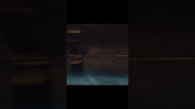 VID_20241216_164729.mp4