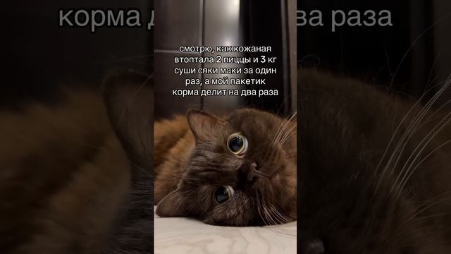 Как отказаться от кожаной?