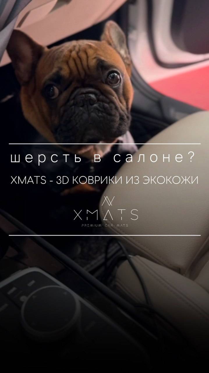 Как убрать шерсть в автомобиле?
