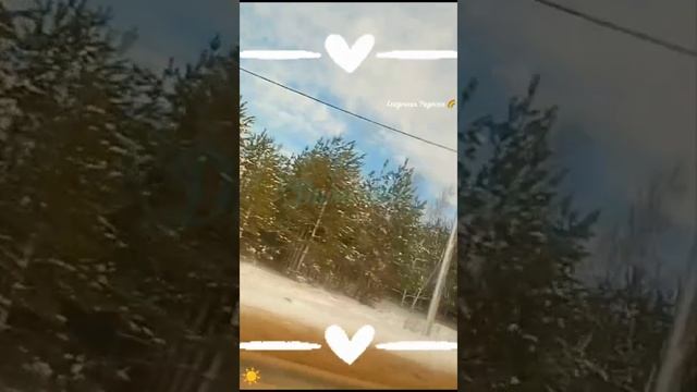 Любовь💓 навсегда . Память .15 декабря