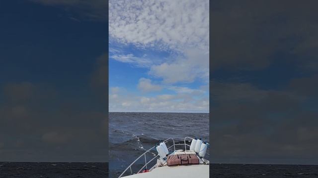 Выход в Ладогу