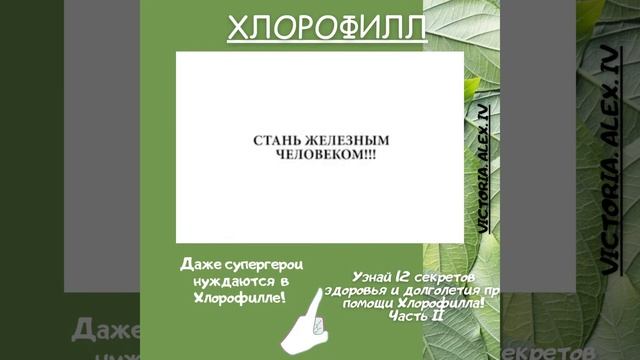 Даже супергероем нужен  Хлорофилл! Узнай 12 секретов здоровья и долголетия!