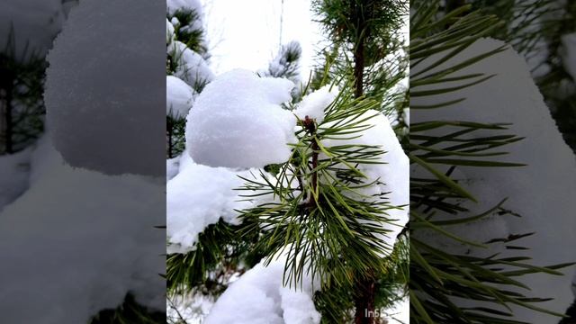 16-12-2024 " У тебя все получится, помни об этом"