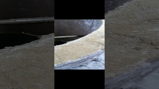 VID_20241204_120913.mp4