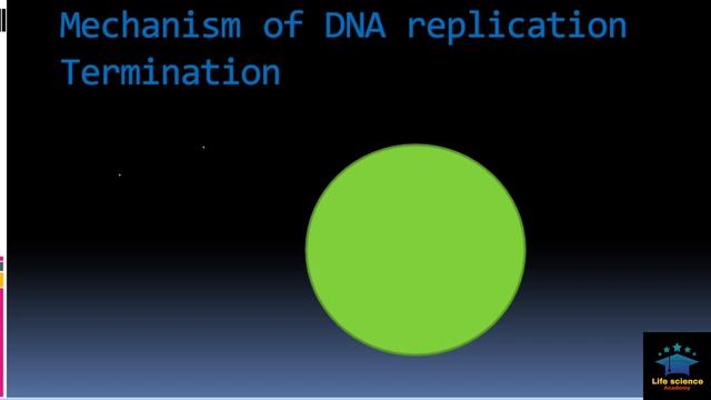DNA REPLICATION IN PROKAROTES ||FULL EXPLINATION