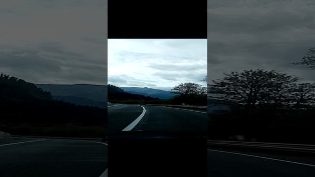 VID_20241011_103638.mp4
