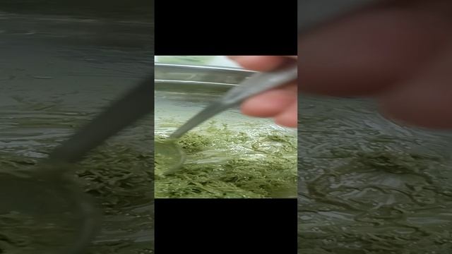 1000005492.mp4